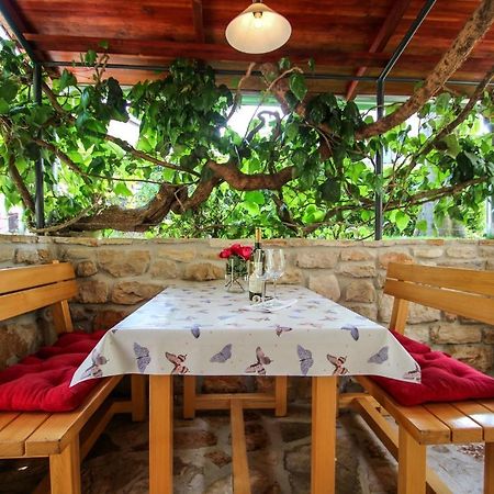 Novigrad Istria Carla Guest House المظهر الخارجي الصورة