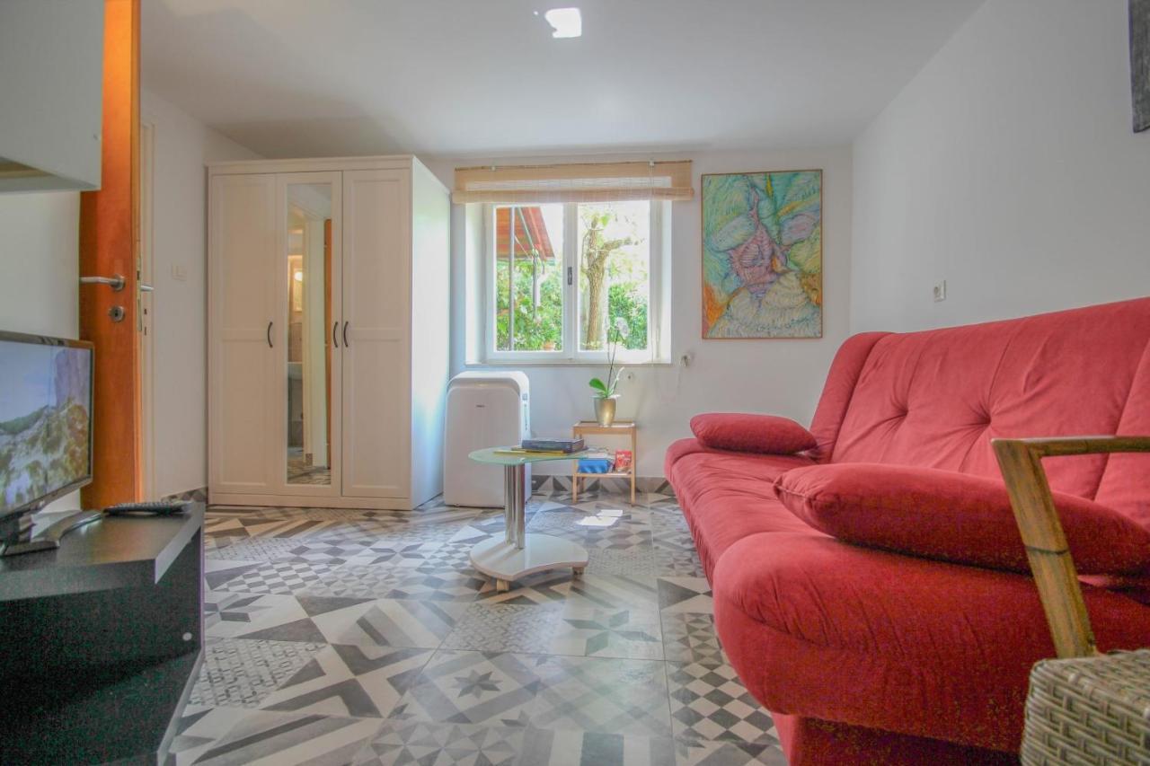 Novigrad Istria Carla Guest House المظهر الخارجي الصورة