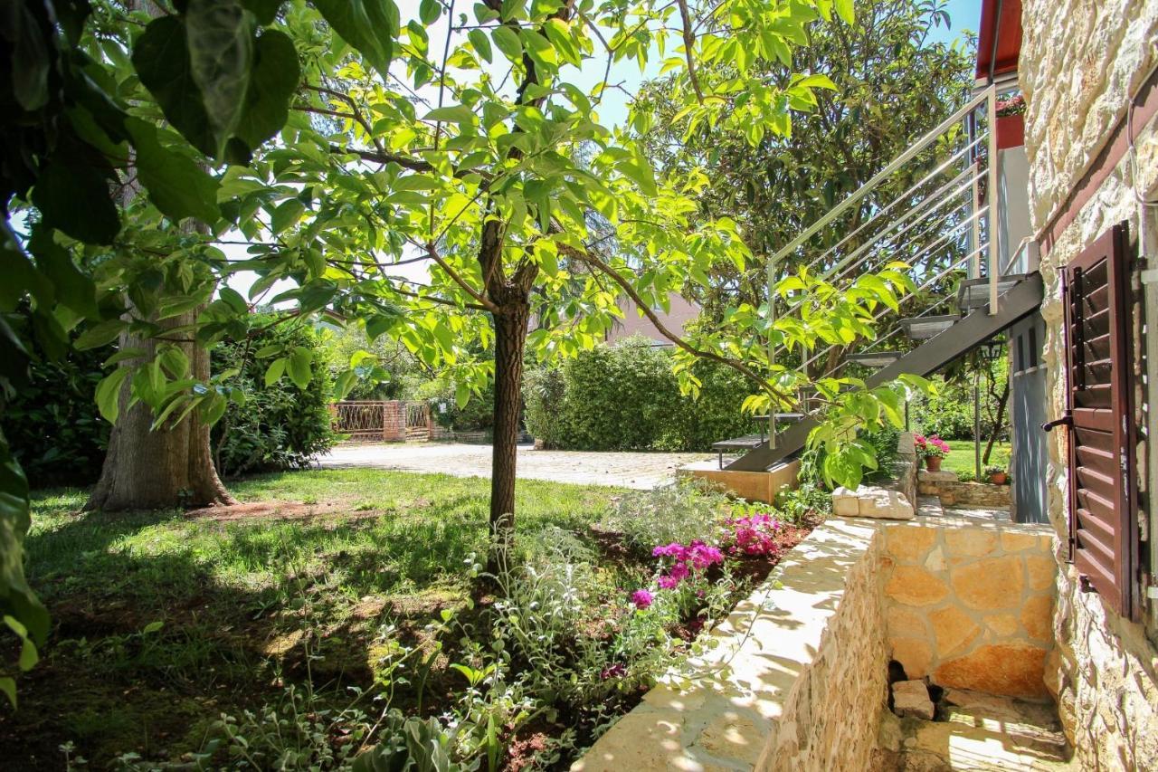 Novigrad Istria Carla Guest House المظهر الخارجي الصورة