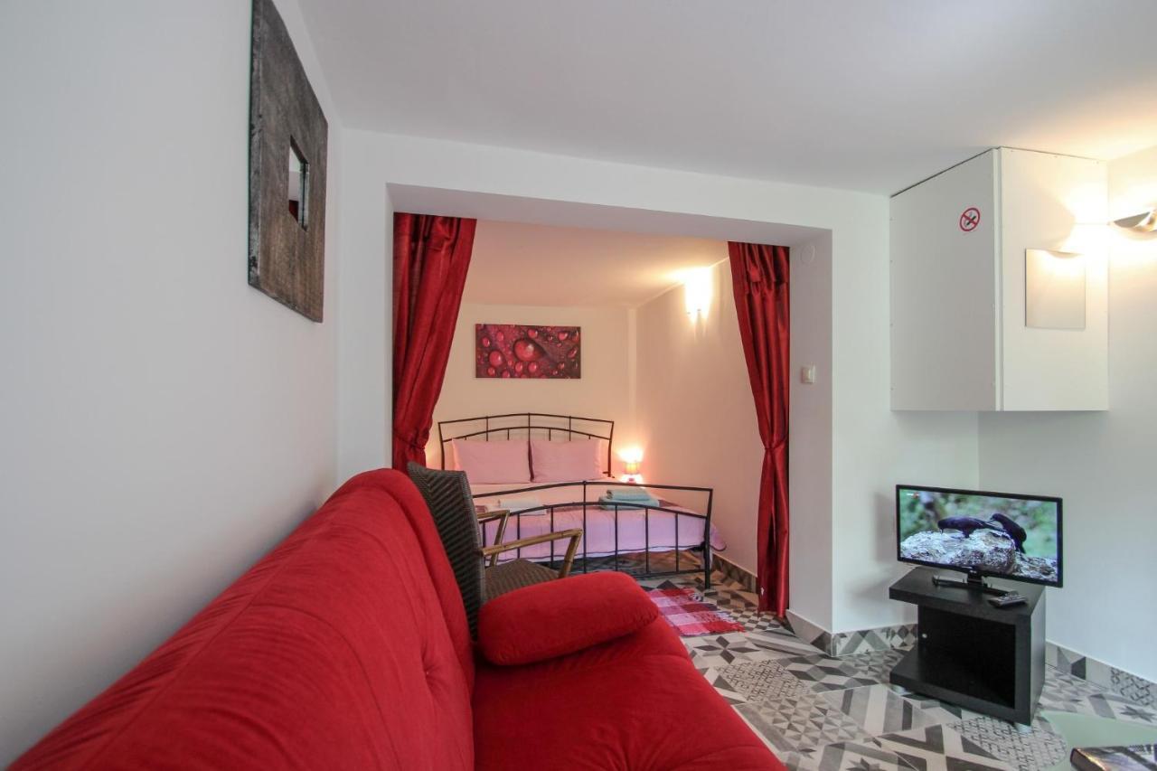 Novigrad Istria Carla Guest House المظهر الخارجي الصورة