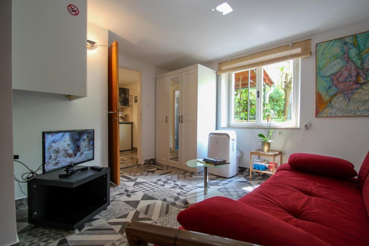 Novigrad Istria Carla Guest House المظهر الخارجي الصورة